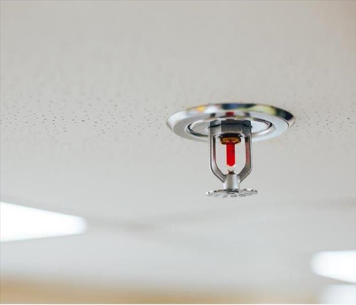sprinkler head, the device provides protection against fire in a room.